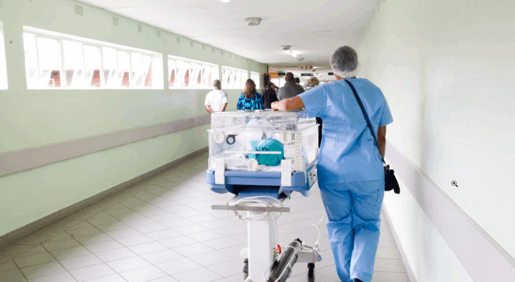 2025 11 16 11 36 51 Window